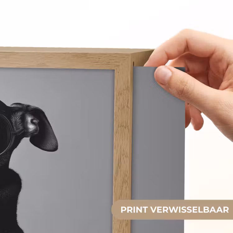 Lightbox - Wandlamp - Coltrui - Hond - Bril - Mok — 5