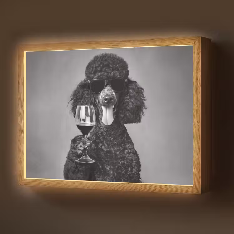 Lightbox - Wandlamp - Hond - Krullen - Zonnebril - Wijn — 1
