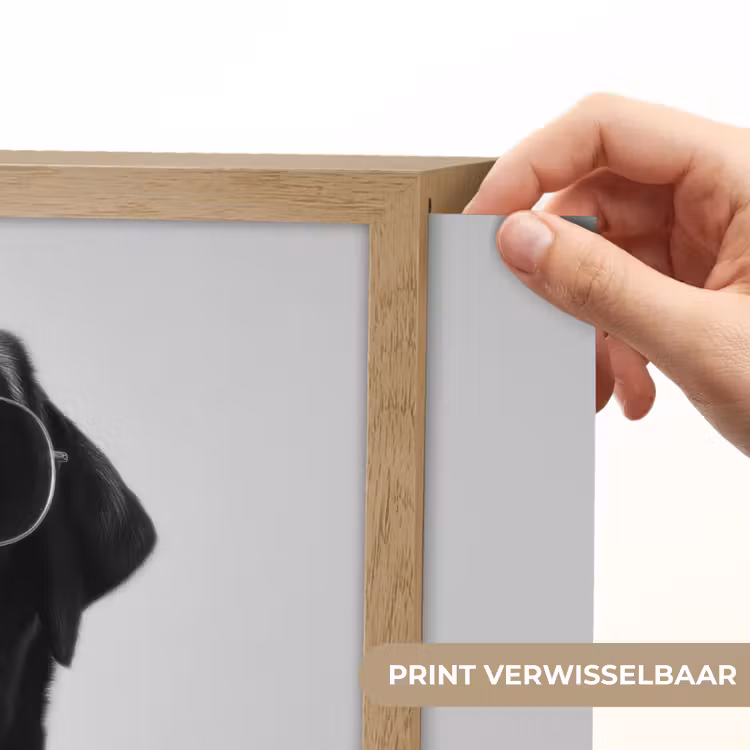 Lightbox - Wandlamp - Hond - Zwart - Wijnglas - Zonnebril — 5