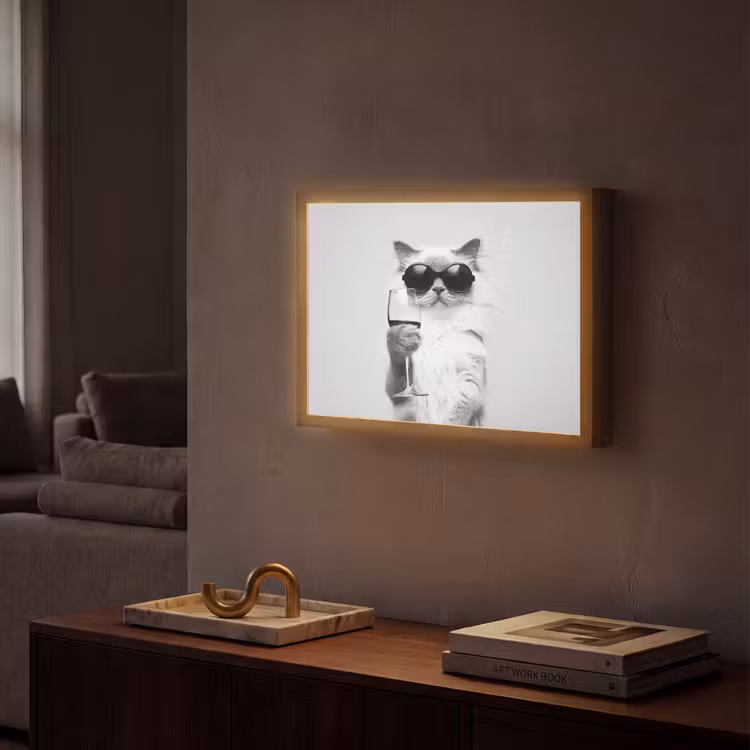 Lightbox - Wandlamp - Kat - Zonnebril - Wijnglas - Langharig — 2