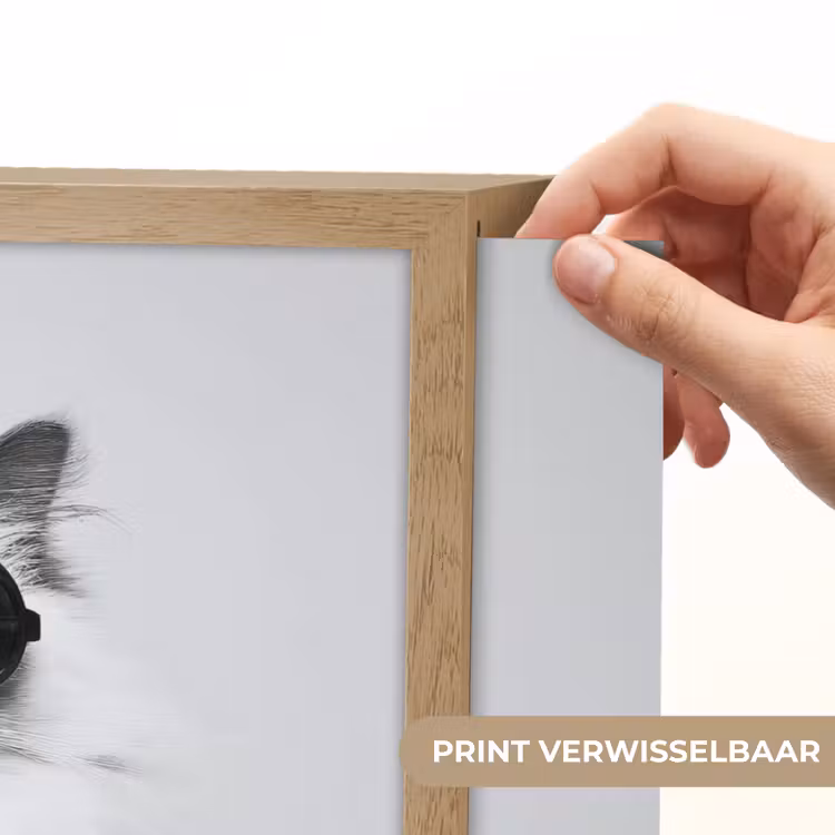 Lightbox - Wandlamp - Kat - Zonnebril - Wijnglas - Langharig — 5