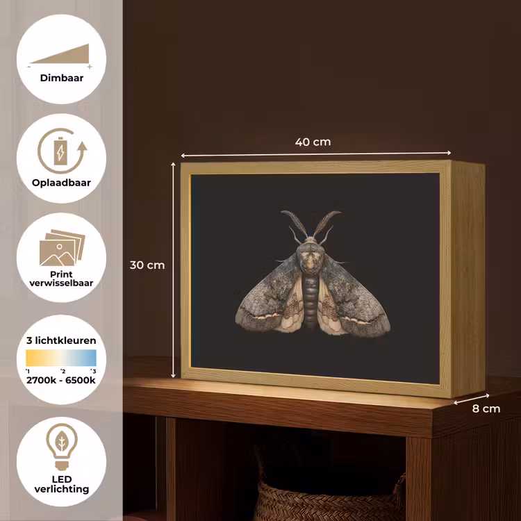 Lightbox - Wandlamp - Mot - Bladachtig - Grijs — 10