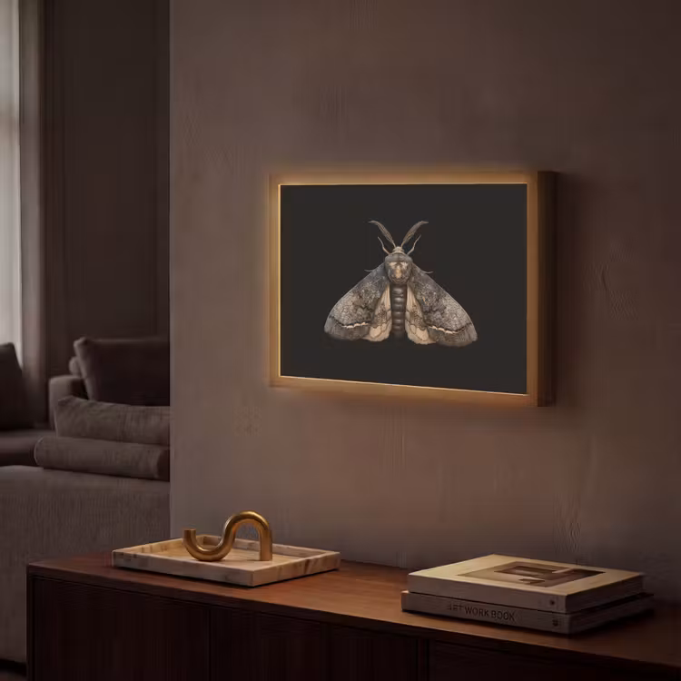 Lightbox - Wandlamp - Mot - Bladachtig - Grijs — 2