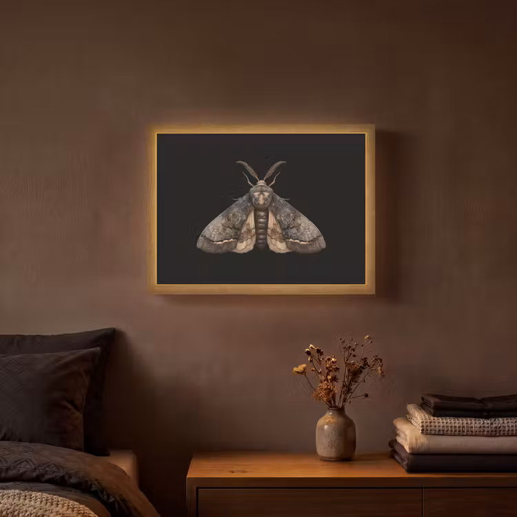 Lightbox - Wandlamp - Mot - Bladachtig - Grijs — 3