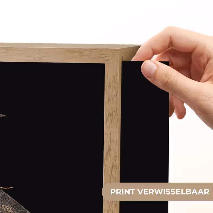Lightbox - Wandlamp - Mot - Bladachtig - Grijs — 5