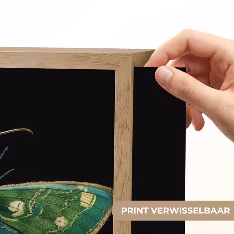 Lightbox - Wandlamp - Mot - Levendig - Groen — 5