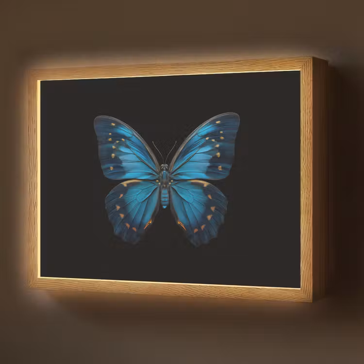 Lightbox - Wandlamp - Vlinder - Blauw - Contrast — 1
