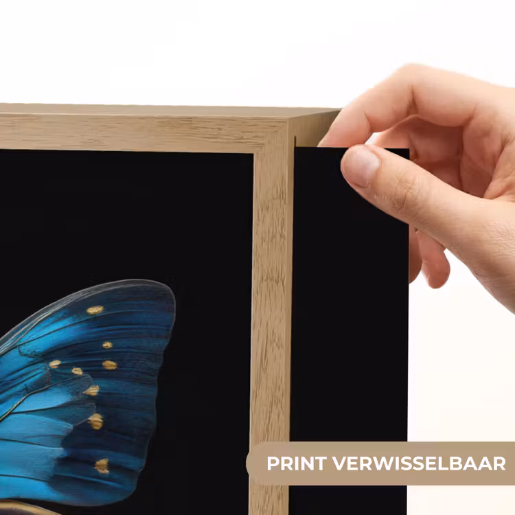 Lightbox - Wandlamp - Vlinder - Blauw - Contrast — 5