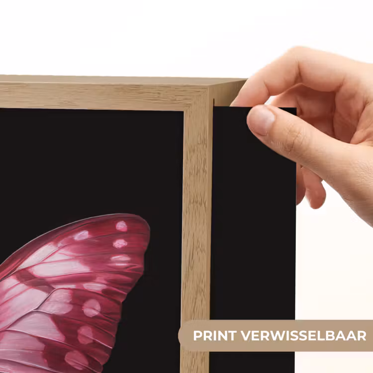 Lightbox - Wandlamp - Vlinder - Fuchsia - Grafisch — 5