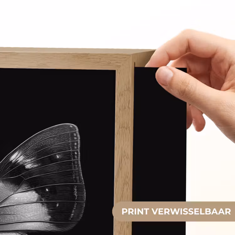 Lightbox - Wandlamp - Vlinder - Grijs - Mysterieus — 5