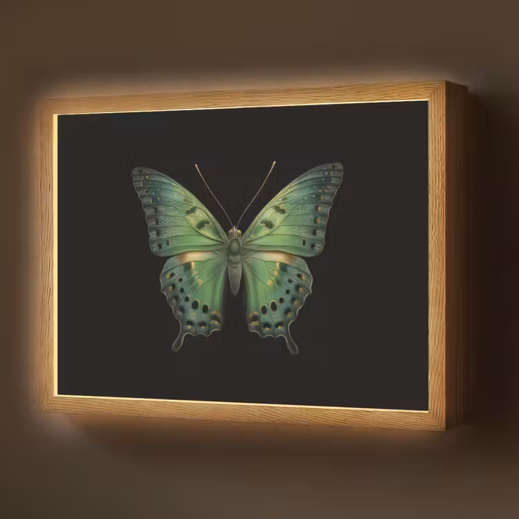 Lightbox - Wandlamp - Vlinder - Groen - Diepte — 1