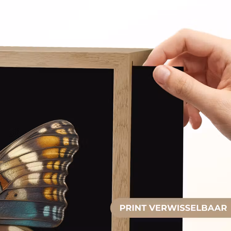 Lightbox - Wandlamp - Vlinder - Kleurrijk - mozaïekachtig — 5