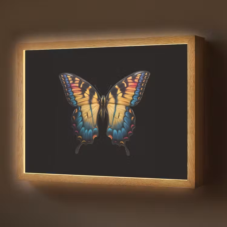 Lightbox - Wandlamp - Vlinder - Kleurrijk - Speels — 1