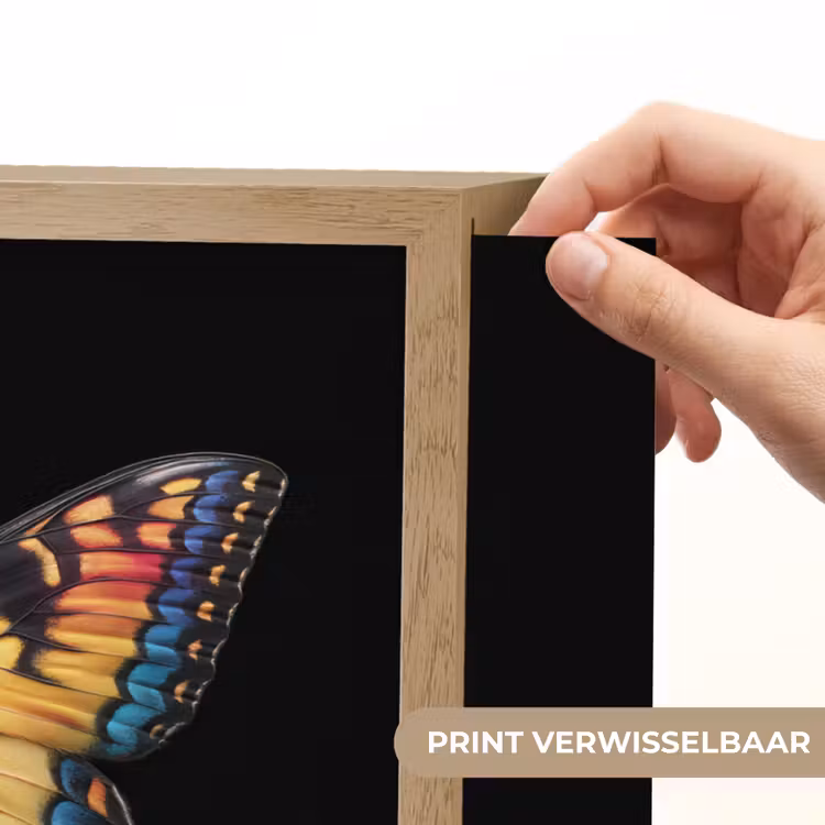 Lightbox - Wandlamp - Vlinder - Kleurrijk - Speels — 5