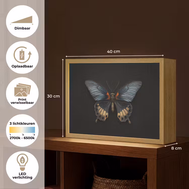 Lightbox - Wandlamp - Vlinder - Metaalachtig - Geometrisch patroon — 10