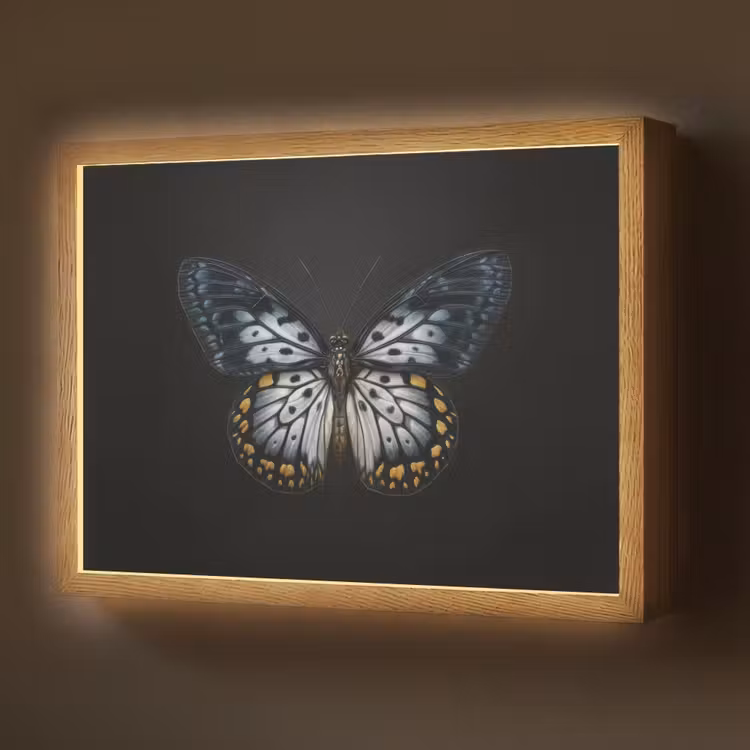 Lightbox - Wandlamp - Vlinder - Monochroom - Balans — 1