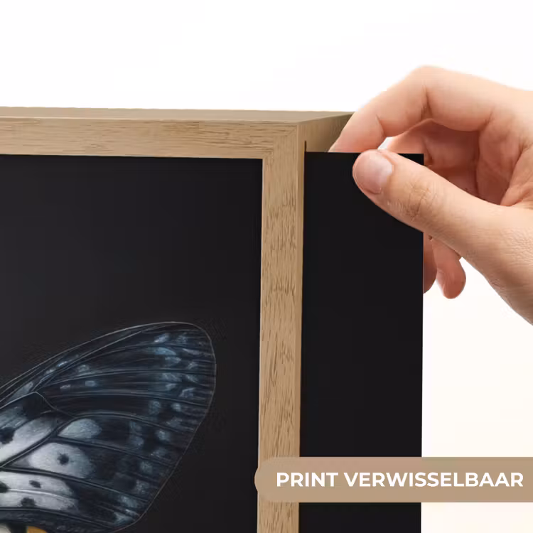 Lightbox - Wandlamp - Vlinder - Monochroom - Balans — 5