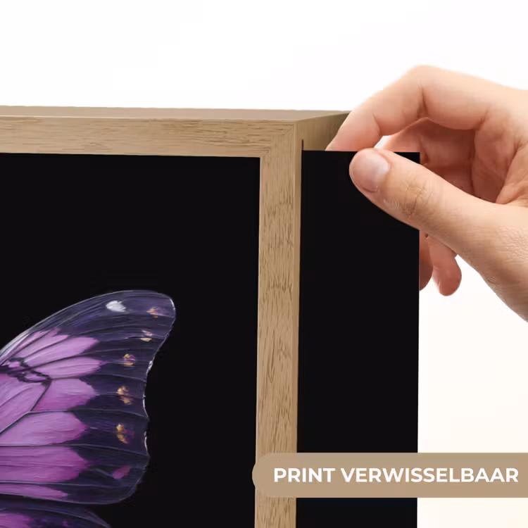 Lightbox - Wandlamp - Vlinder - Paars - Levendig — 5