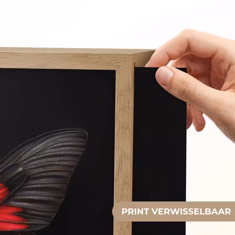 Lightbox - Wandlamp - Vlinder - Rood - Contrast — 5