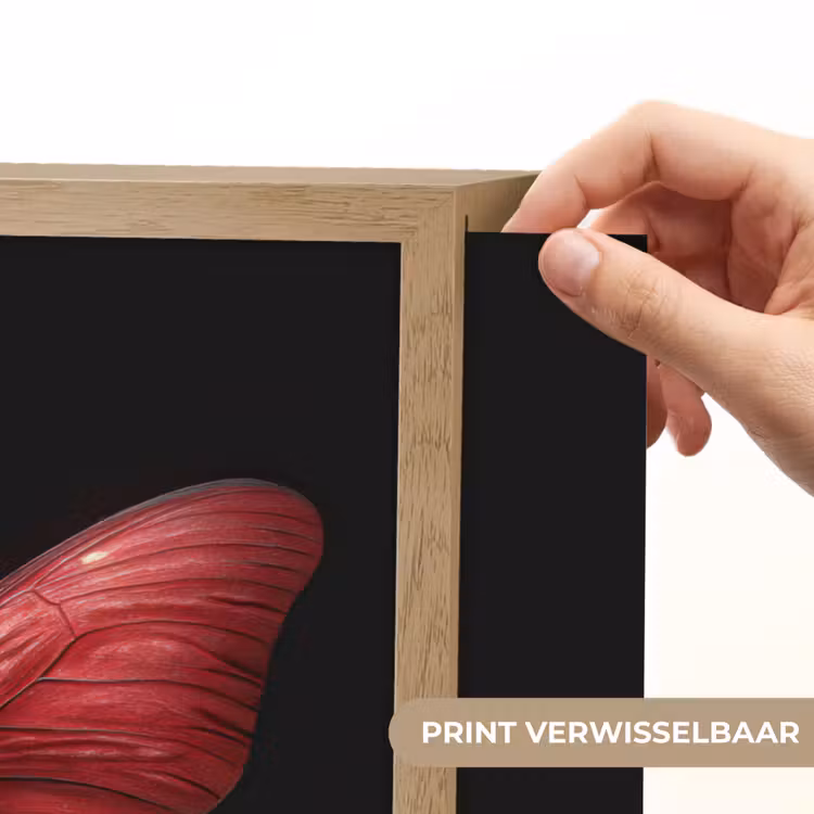 Lightbox - Wandlamp - Vlinder - Rood - Minimalistisch — 5