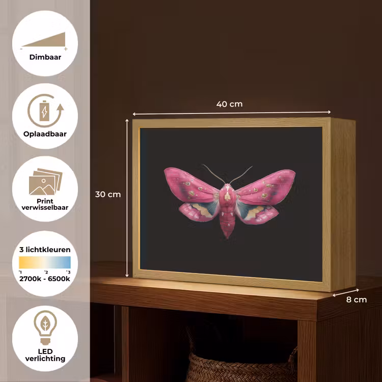 Lightbox - Wandlamp - Vlinder - Roze - Nachtvlinder — 10