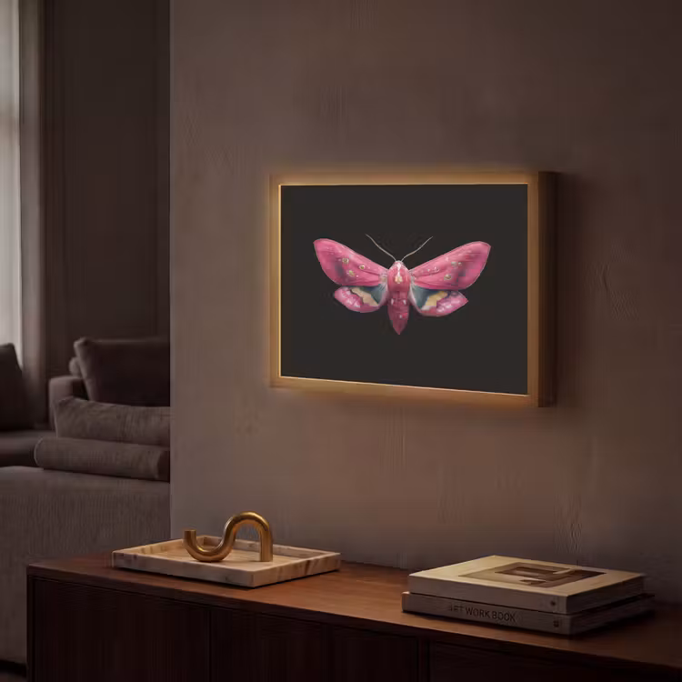 Lightbox - Wandlamp - Vlinder - Roze - Nachtvlinder — 2
