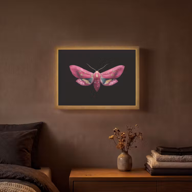 Lightbox - Wandlamp - Vlinder - Roze - Nachtvlinder — 3