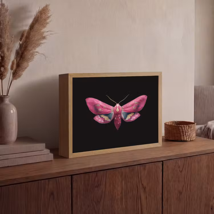 Lightbox - Wandlamp - Vlinder - Roze - Nachtvlinder — 4