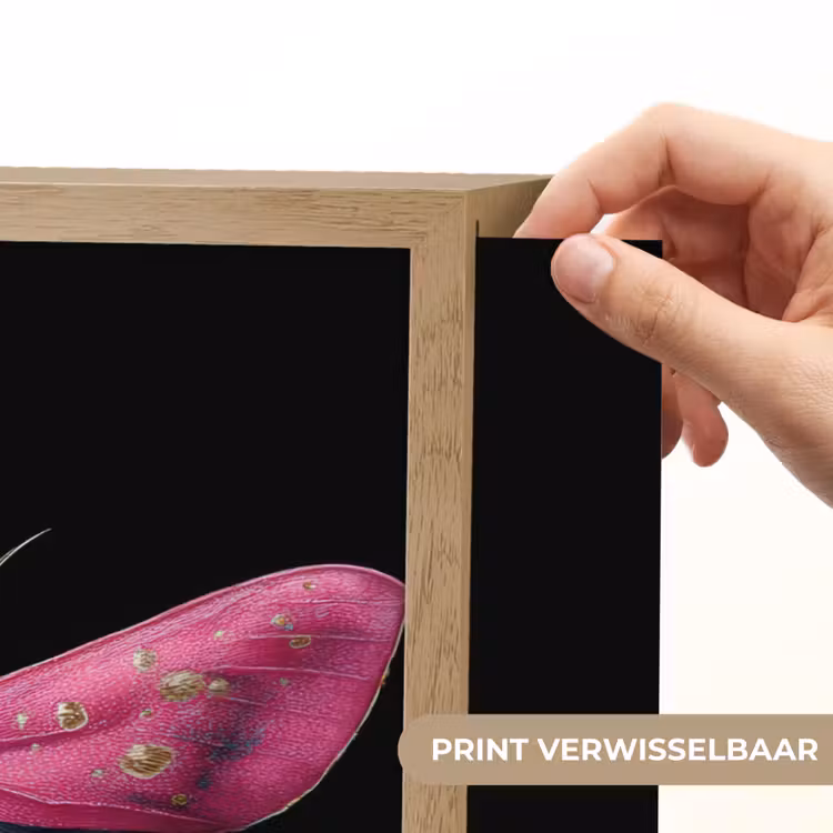 Lightbox - Wandlamp - Vlinder - Roze - Nachtvlinder — 5