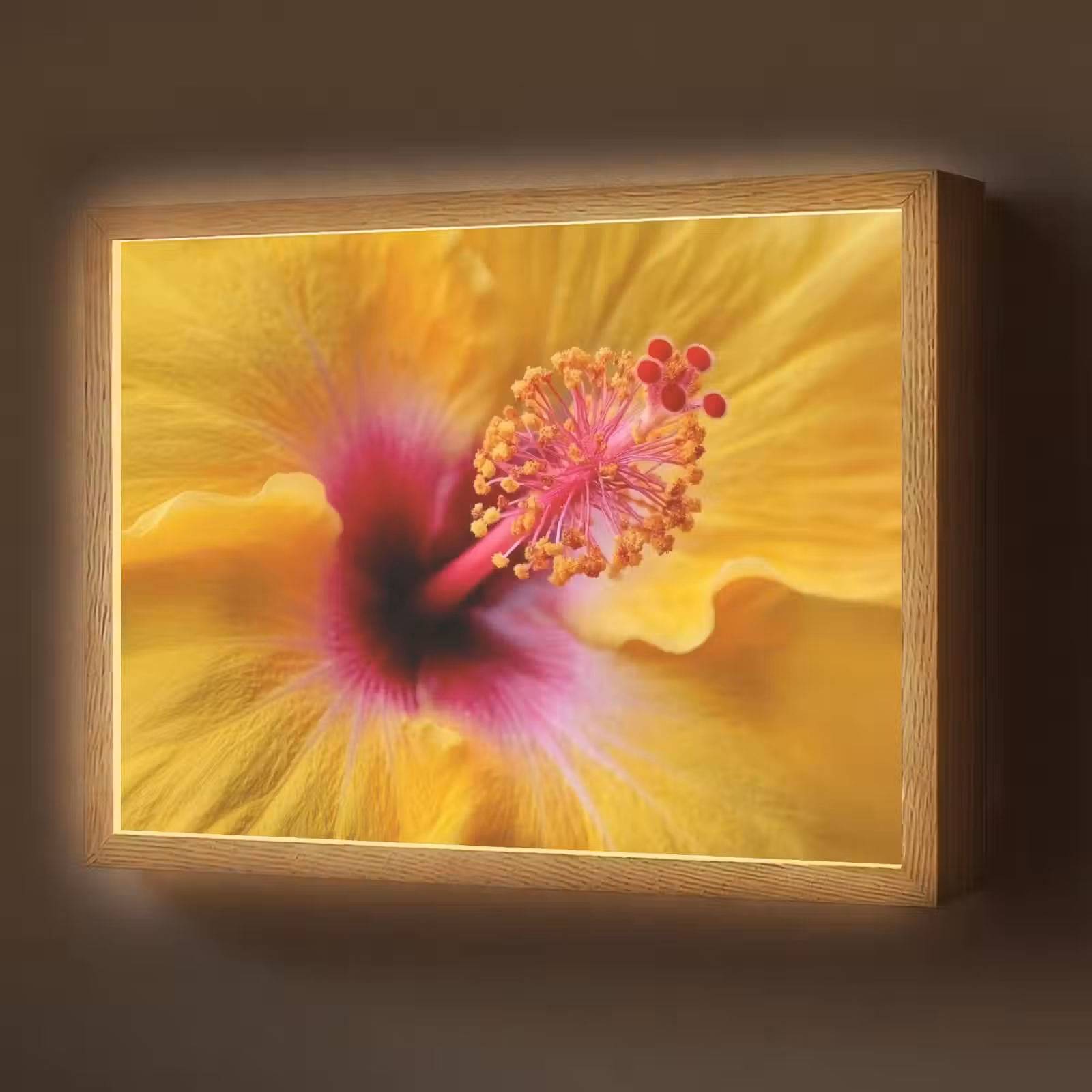 Lightbox - Wandlamp - Geel - Hibiscus - Tropisch — 1