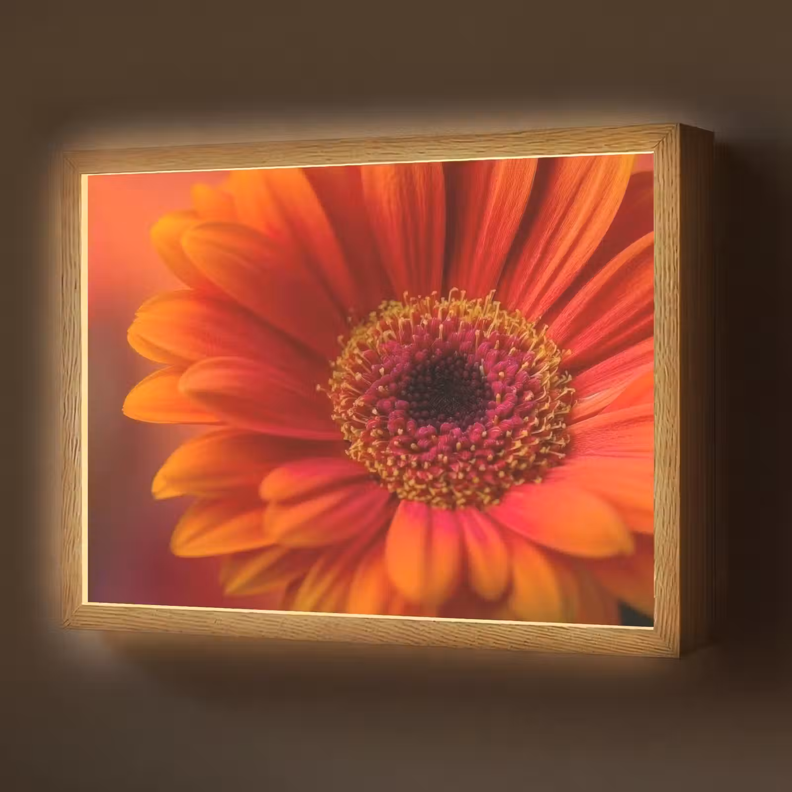 Lightbox - Wandlamp - Oranje - Gerbera - Intens — 1