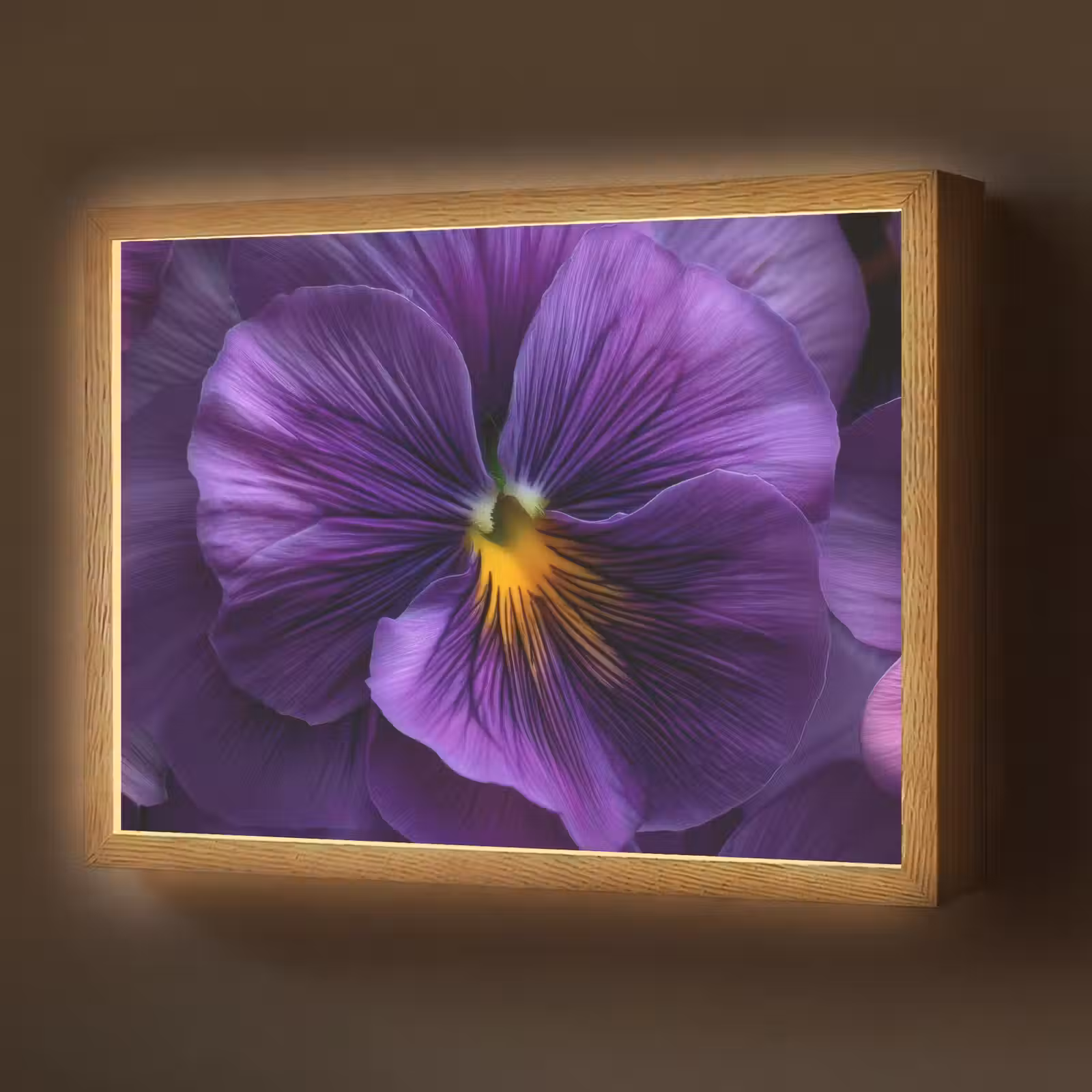 Lightbox - Wandlamp - Paars - Viool - Diepte — 1