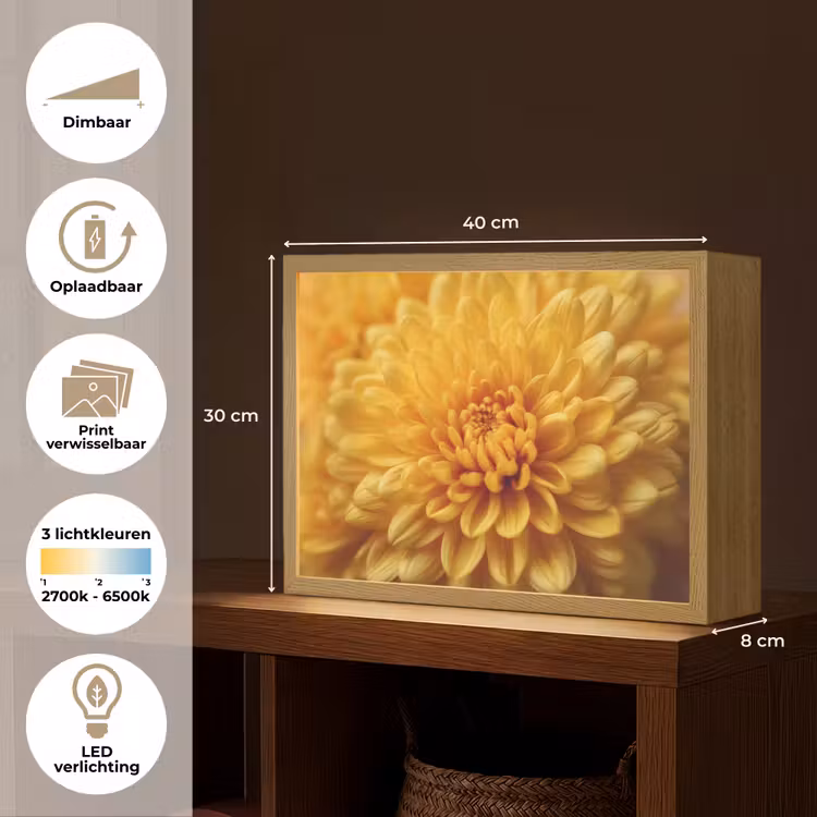 Lightbox - Wandlamp - Geel - Chrysant - Zachtheid — 10