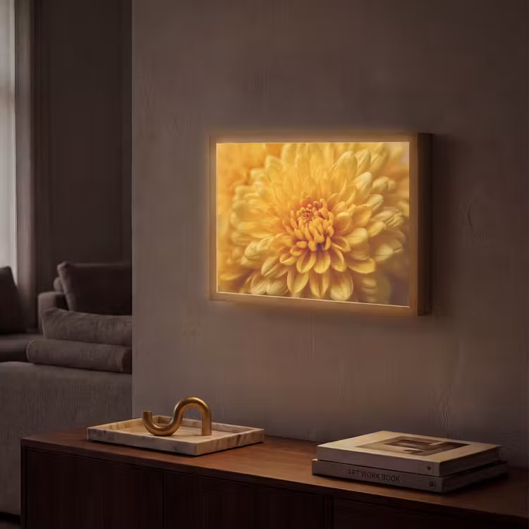 Lightbox - Wandlamp - Geel - Chrysant - Zachtheid — 2