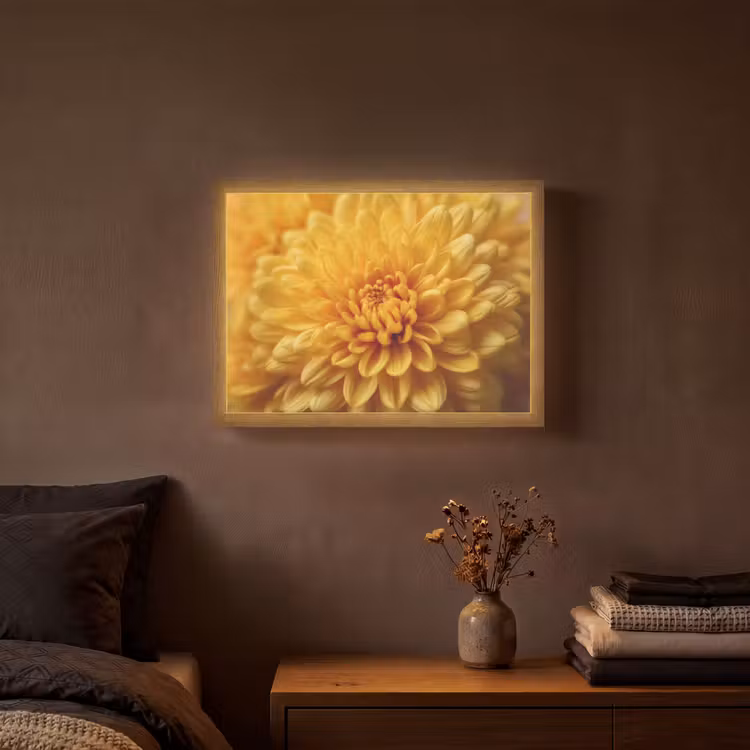 Lightbox - Wandlamp - Geel - Chrysant - Zachtheid — 3