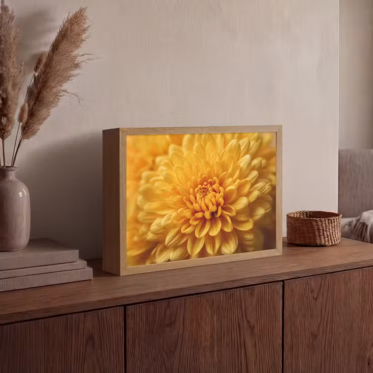 Lightbox - Wandlamp - Geel - Chrysant - Zachtheid — 4