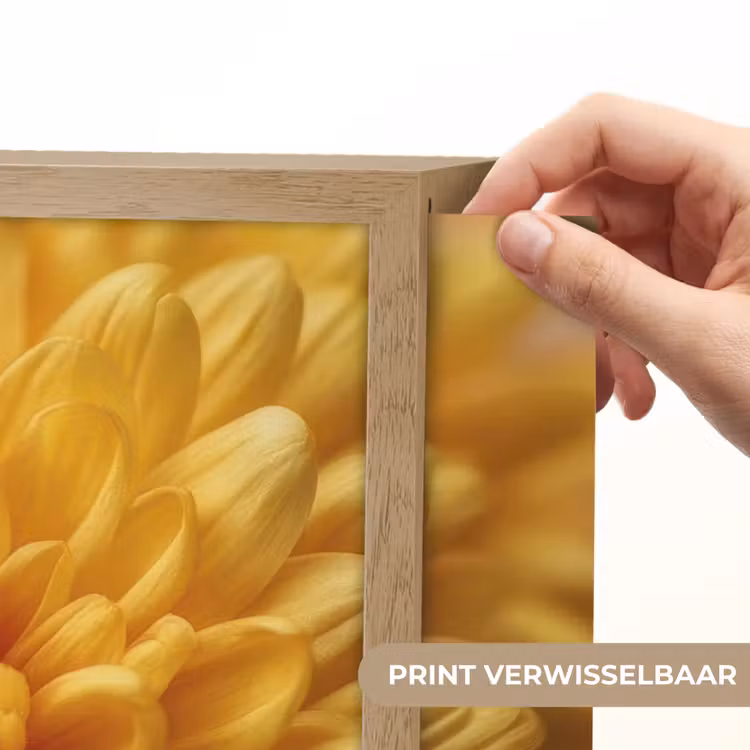 Lightbox - Wandlamp - Geel - Chrysant - Zachtheid — 5