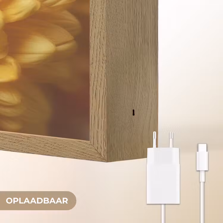 Lightbox - Wandlamp - Geel - Chrysant - Zachtheid — 7