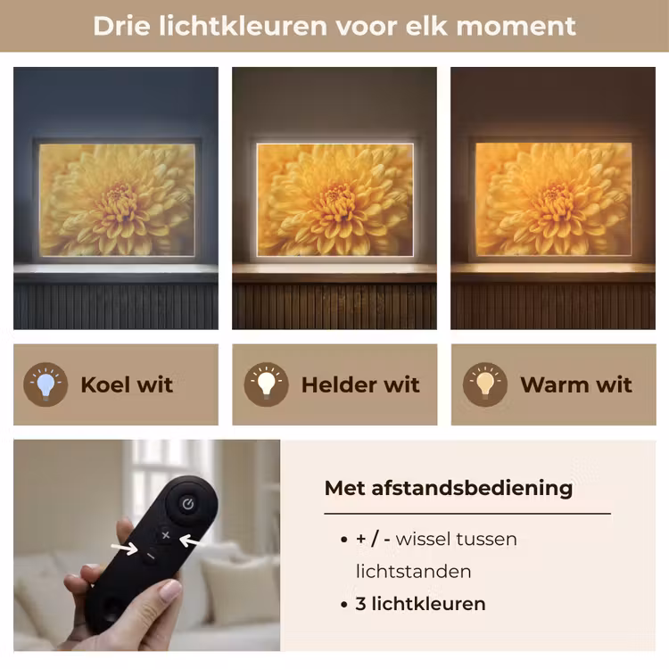 Lightbox - Wandlamp - Geel - Chrysant - Zachtheid — 8