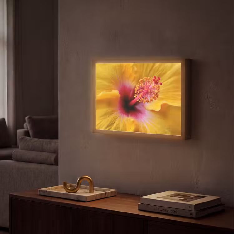 Lightbox - Wandlamp - Geel - Hibiscus - Tropisch — 2