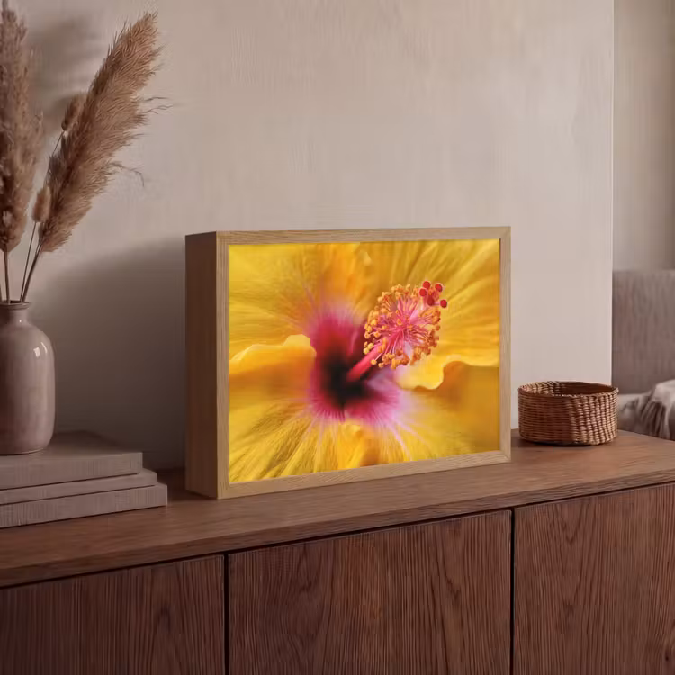 Lightbox - Wandlamp - Geel - Hibiscus - Tropisch — 4
