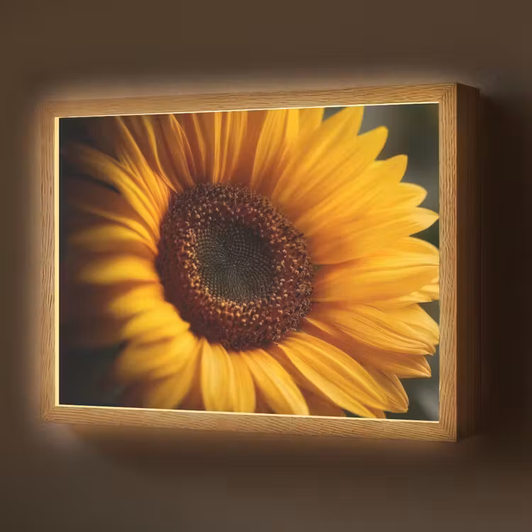 Lightbox - Wandlamp - Geel - Zonnebloem - Zomers — 1