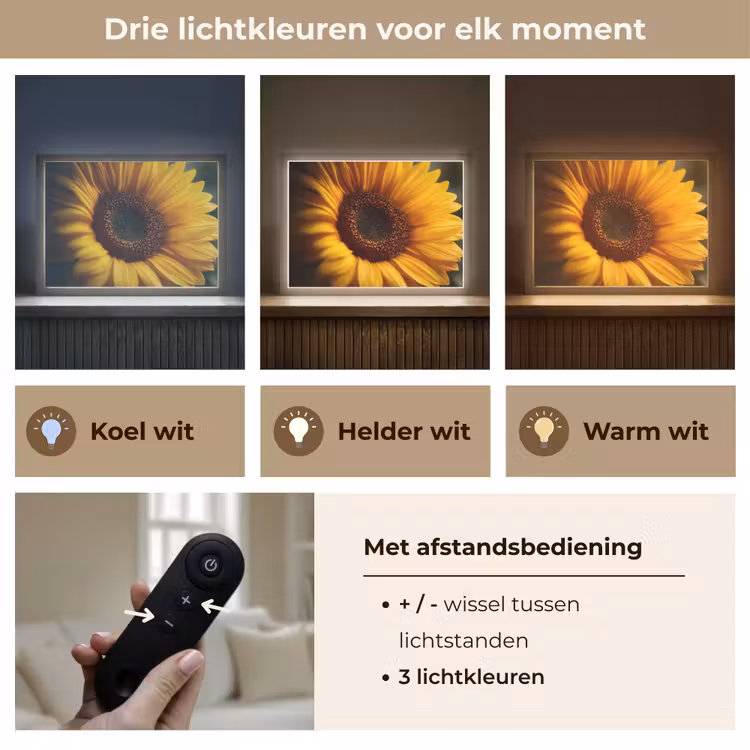 Lightbox - Wandlamp - Geel - Zonnebloem - Zomers — 8