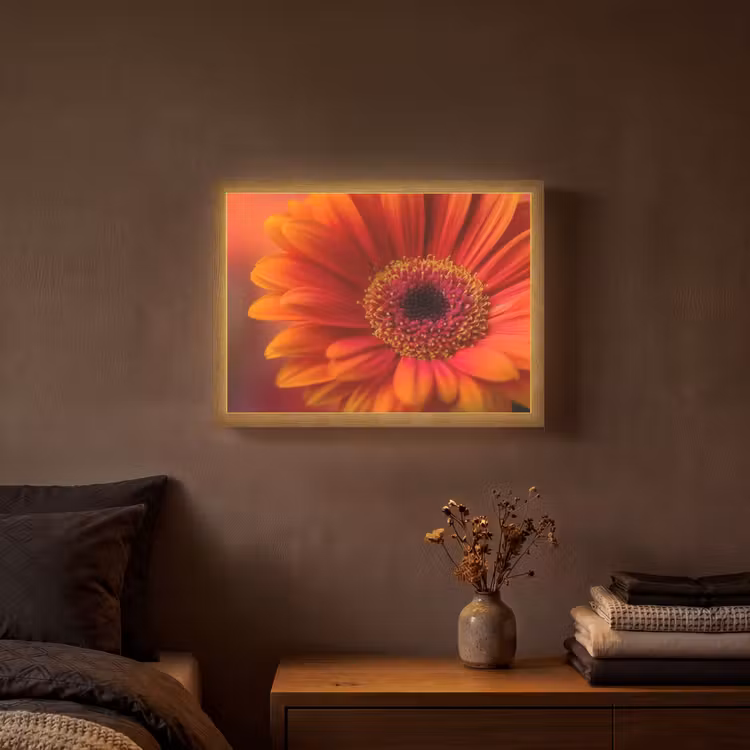 Lightbox - Wandlamp - Oranje - Gerbera - Intens — 3