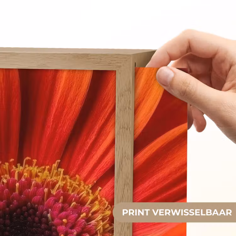 Lightbox - Wandlamp - Oranje - Gerbera - Intens — 5