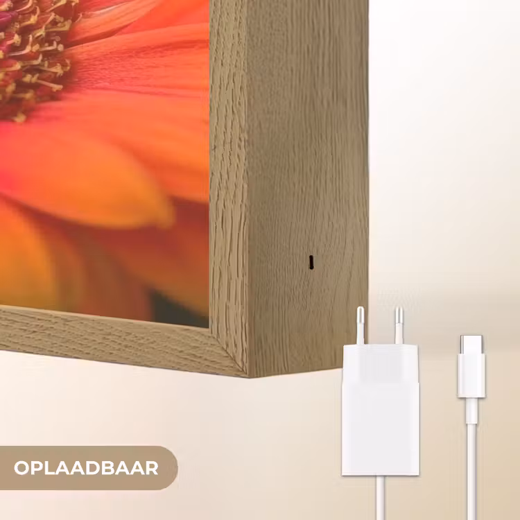 Lightbox - Wandlamp - Oranje - Gerbera - Intens — 7