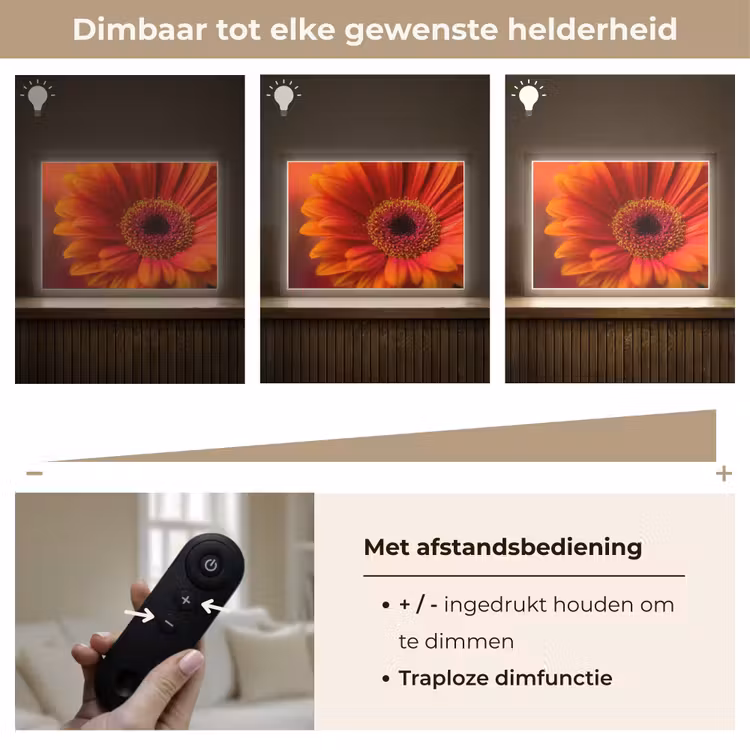 Lightbox - Wandlamp - Oranje - Gerbera - Intens — 9