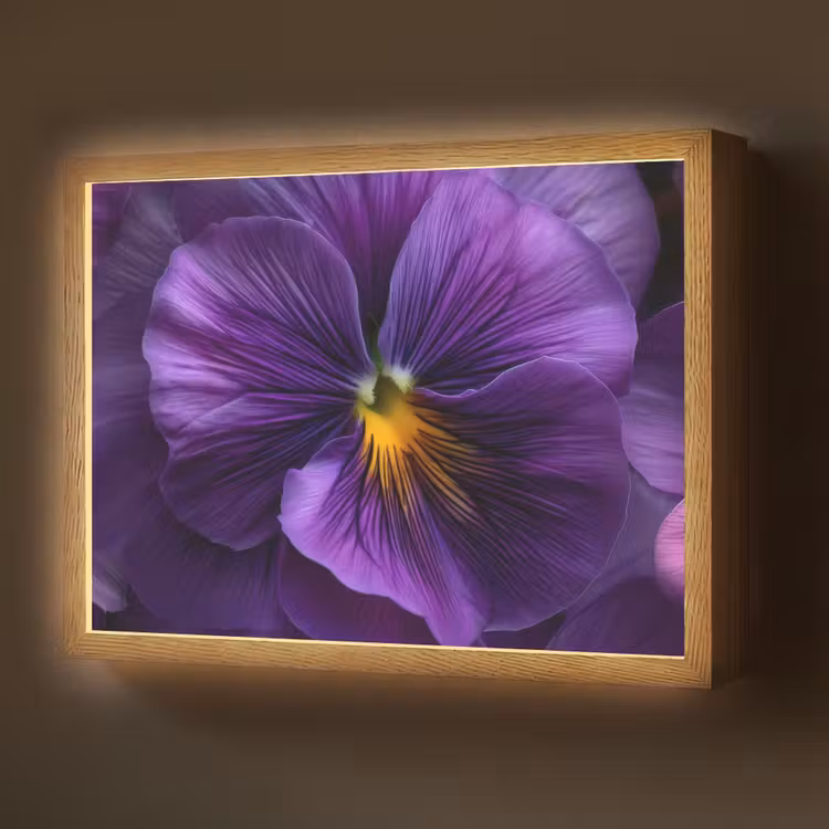 Lightbox - Wandlamp - Paars - Viool - Diepte — 1