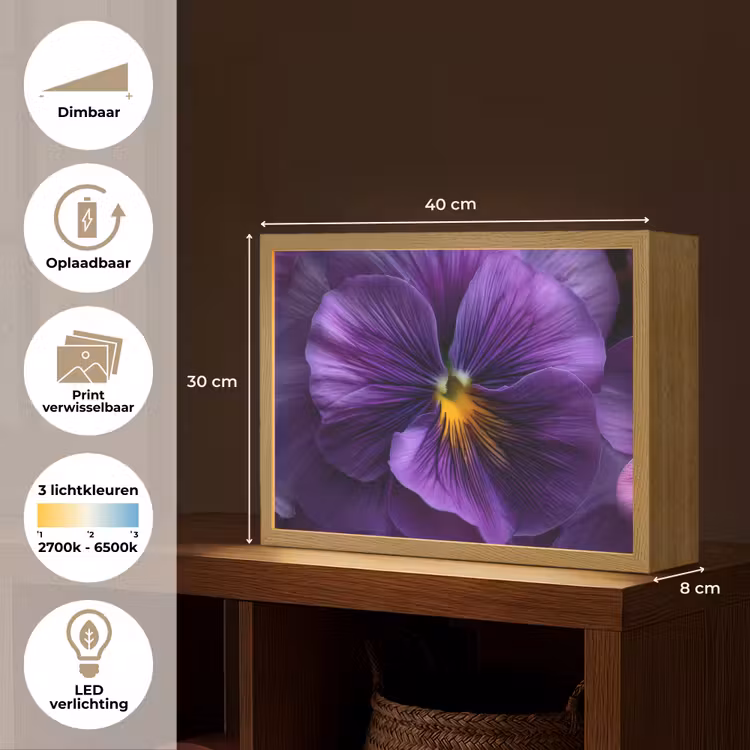 Lightbox - Wandlamp - Paars - Viool - Diepte — 10