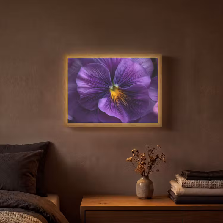 Lightbox - Wandlamp - Paars - Viool - Diepte — 3